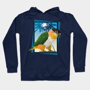 caique Hoodie